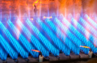 Petrockstowe gas fired boilers